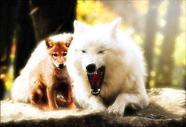 wolf and pup