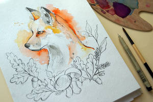 Fox