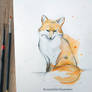 Foxy sketch