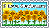 I Love Sunflowers Stamp