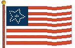 U.S. Flags: 1861 Great Flower