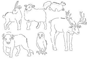 F2U Big Base 2