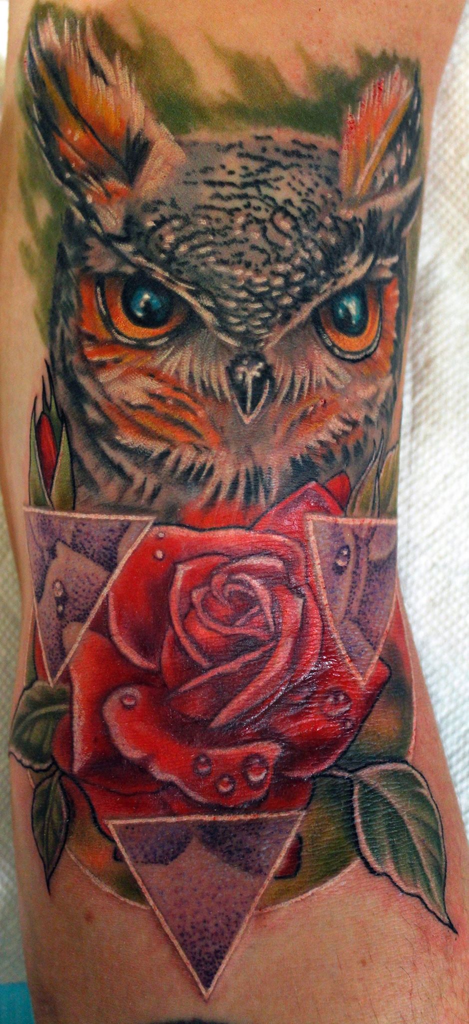 Owl King by Sean Ambrose at Arrows and Embers