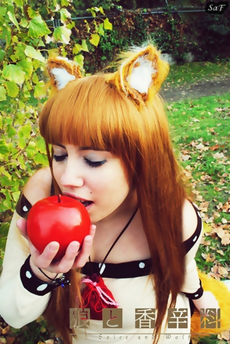 Cosplay Horo 37