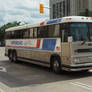 Vintage Greyhound Bus On Main Street