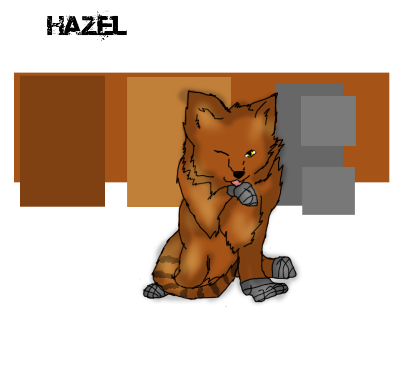 Hazel Ref. Sheet by TerraTheTiger on DeviantArt