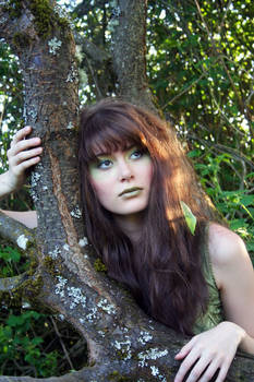 Woodland Beauty 7