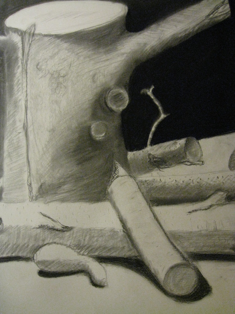 Log Charcoal Still Life