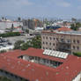 Rooftop View From The Line Hotel Room 825.