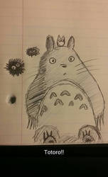 Totoro sketch