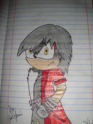 Vinnie the hedgehog draw