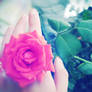 Flower ring ~