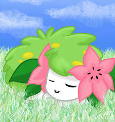 Shaymin