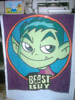 Beast Boy, Cross-Stitches