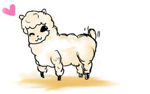 request sheep