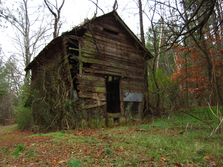 348 - Old House by absurdus