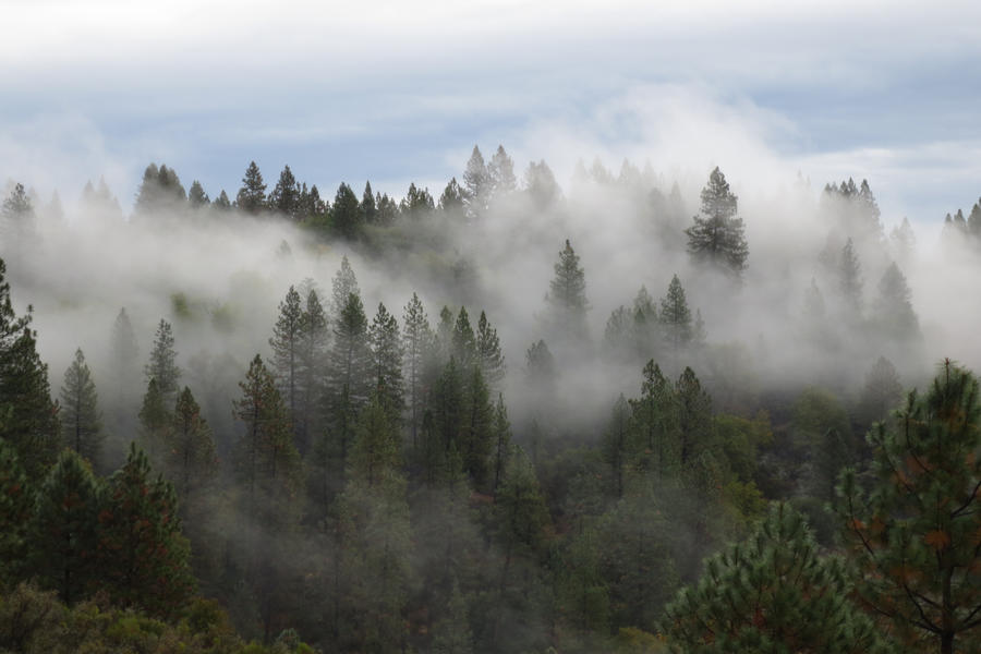 377 - Northern California by absurdus