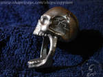 Skull Ring by Eeppium
