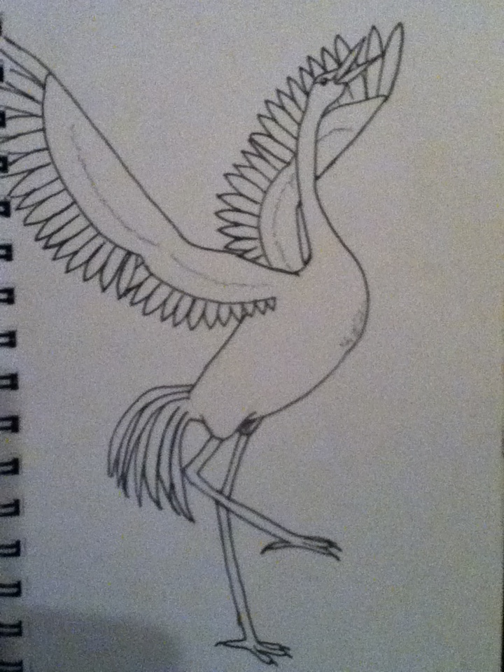 Sandhill crane