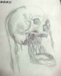 Skull-