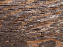 Weather Worn Wood