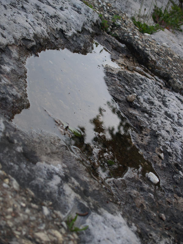 Cuttest Puddle The Wonder of Puddles by DustwaveStock on DeviantArt