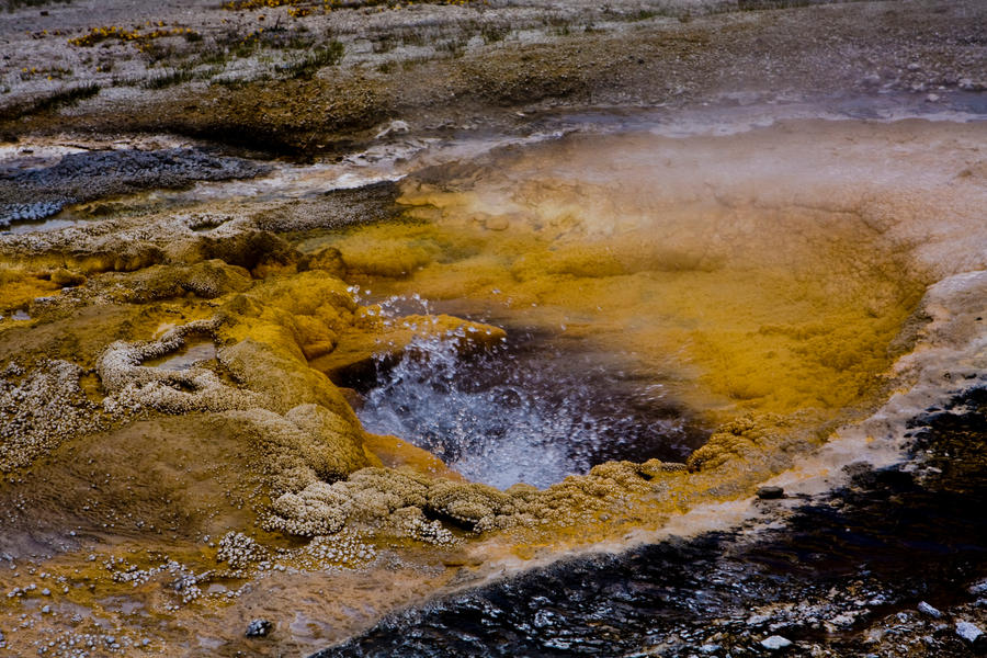 A Yellow Disposition by DustwaveStock A Yellow Disposition by DustwaveStock