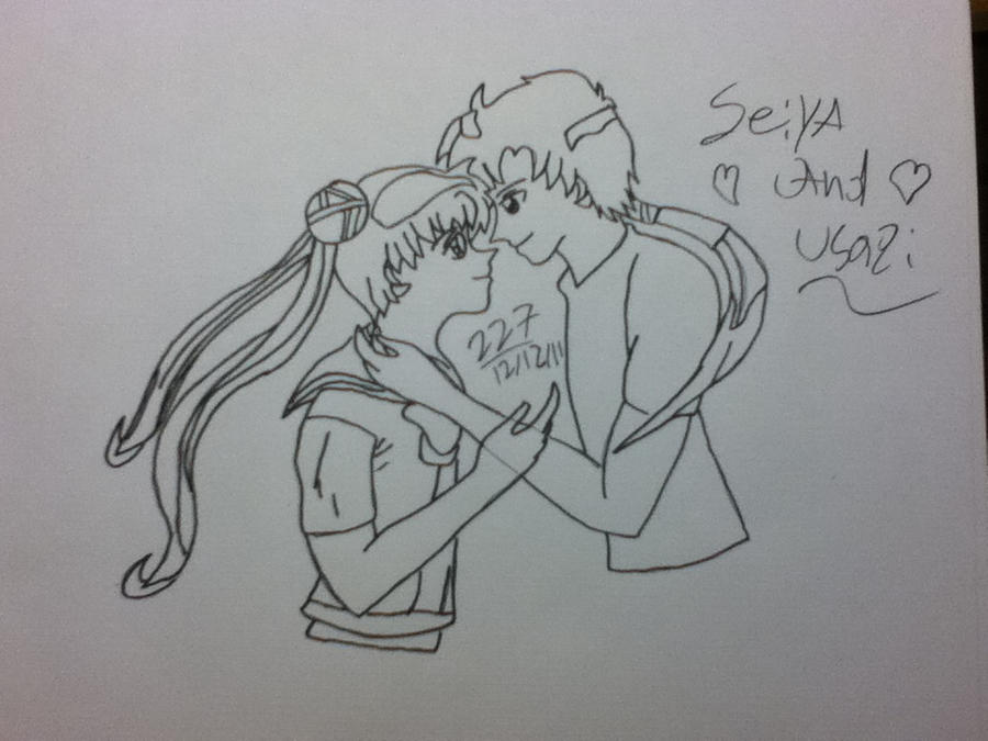 Seiya And Usagi Doodle-Lines