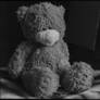 Teddy bear