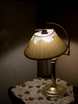 lampshade 2