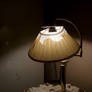 lampshade 2