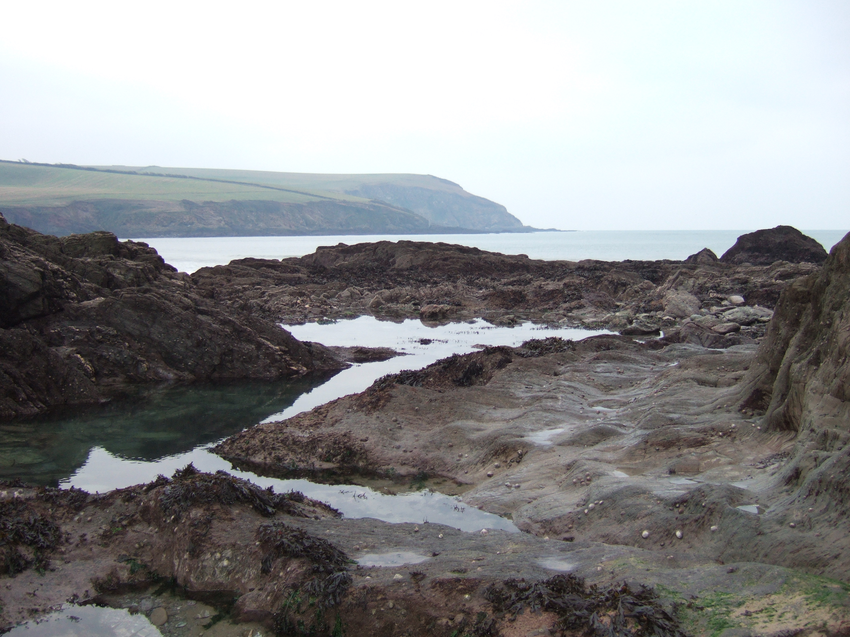 mothercombe beach stock 8