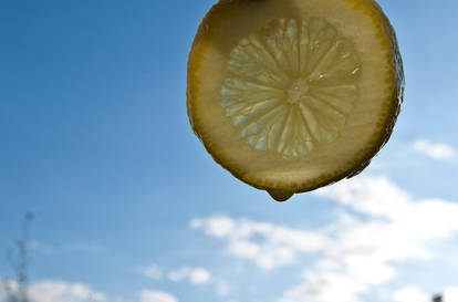 Lemon Two