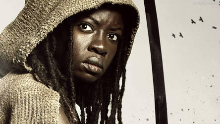 Tv Michonne-the-walking-dead Hood