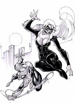 $50 spidey and black cat