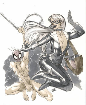 web thrower and the cat thief