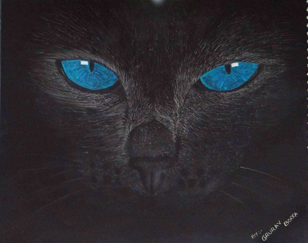 Black Cat by gauravborra