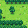 [Test] Forest Path