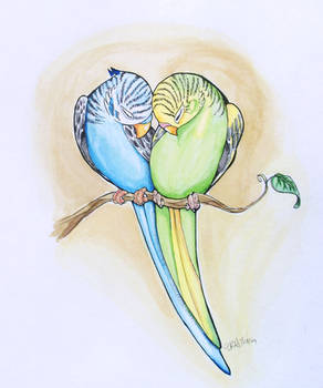 Parakeet Heart