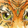 Tiger Eyes