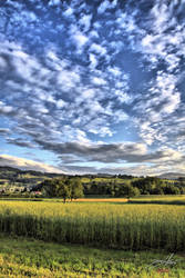 Switzerland Landscape