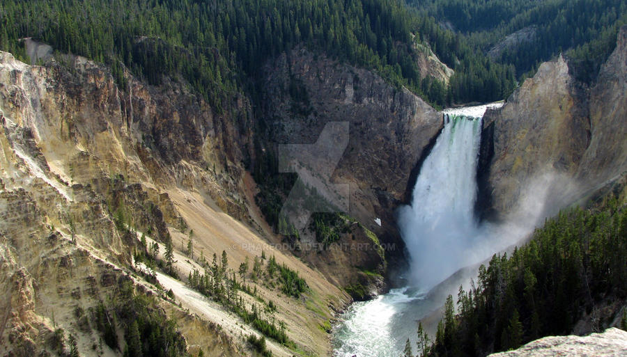 Yellowstone Falls