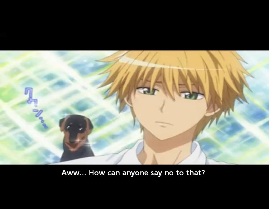 Anime Version Usuis Puppy Eyes by Echocave on DeviantArt Anime Version Usuis Puppy Eyes by Echocave on DeviantArt