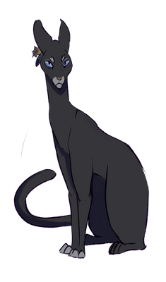 Crowfeather