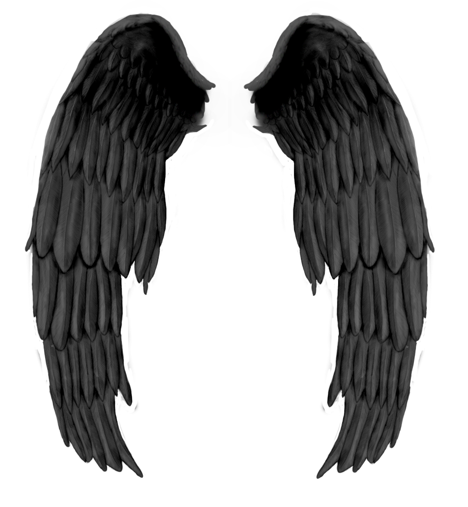Black Feather PNG (14) by agusrockforlife on DeviantArt
