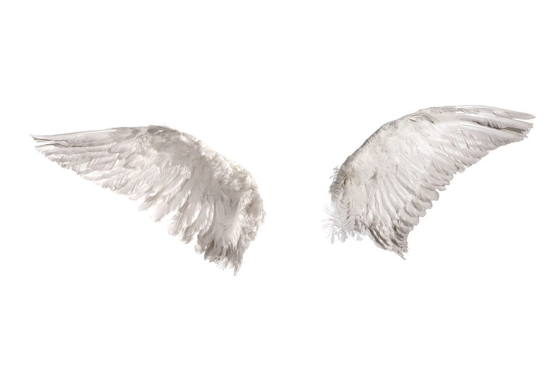 Angel Wings PNG (Overlays) 15 by agusrockforlife on DeviantArt