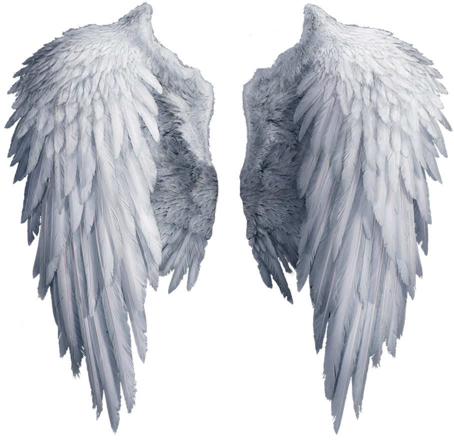 Angel Wings PNG (Overlays) 16 by agusrockforlife on DeviantArt