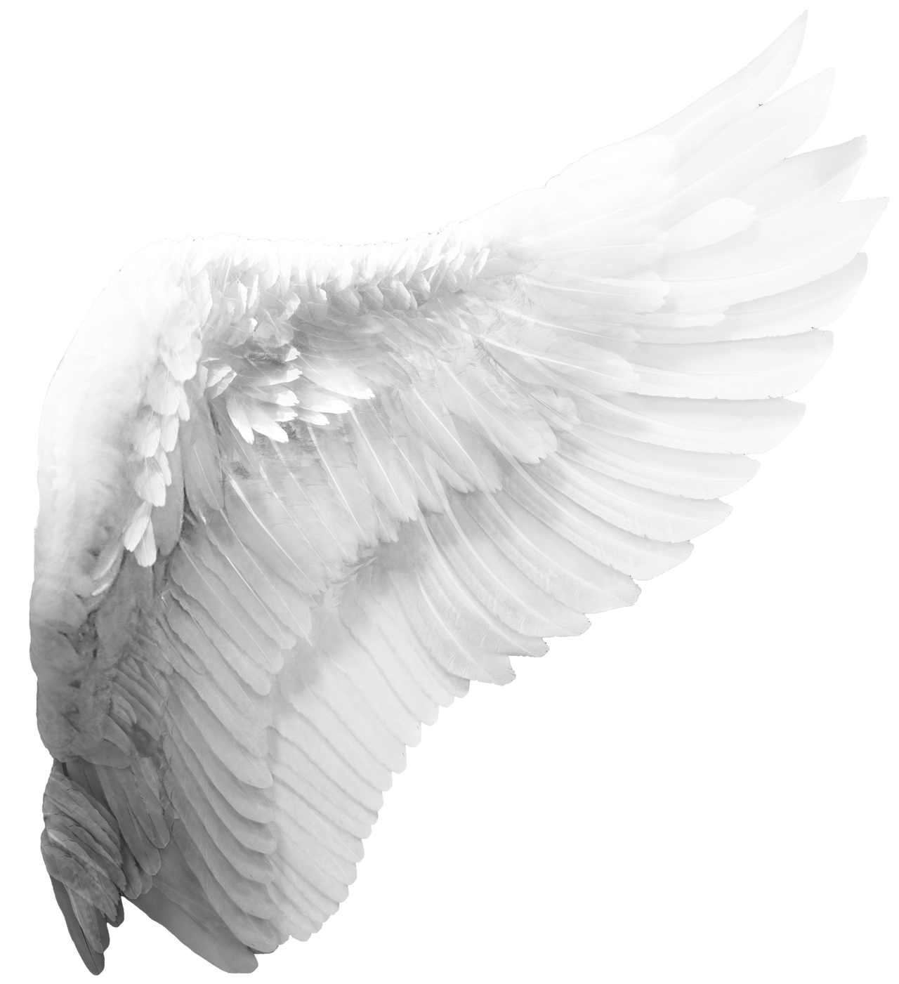 Angel Wings PNG (Overlays) 5 by agusrockforlife on DeviantArt