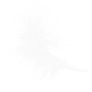 Angel Feathers PNG (Overlay) 17