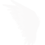 Angel Feathers PNG (Overlay) 6